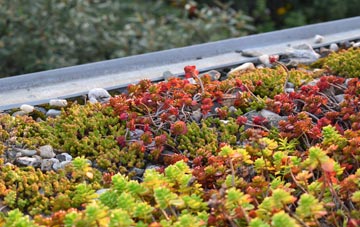 the cost of Balranald green roof installation