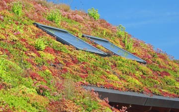 Balranald living roof systems